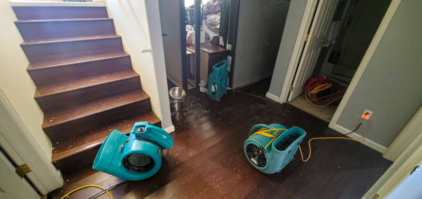 Best Flooded house restoration  in Choudrant, LA