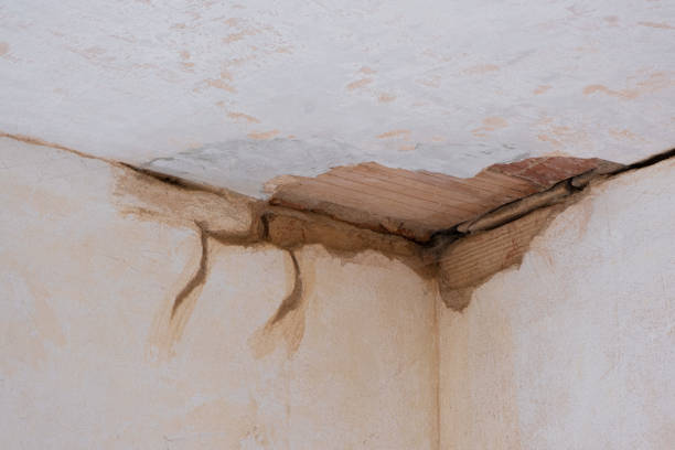 Best Residential water damage restoration  in Choudrant, LA