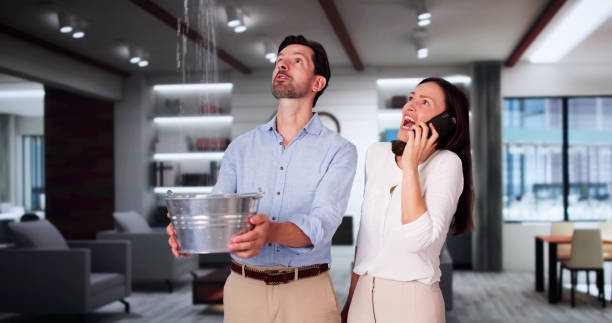 Best Water damage restoration services  in Choudrant, LA